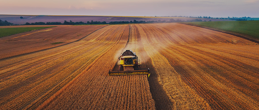 harvester combine harvesting a field of wheat