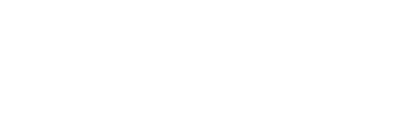 Case Logo