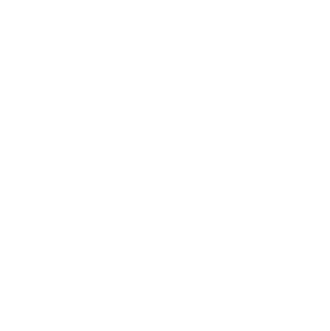 Skid-Steer Airless Tires