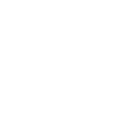 Four Wheel Drive icon