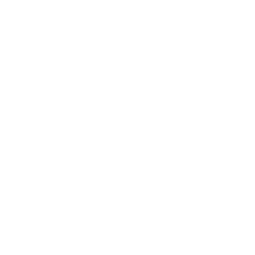 Dual Tire Icon