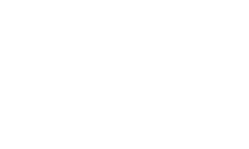 Dual Tire Icon